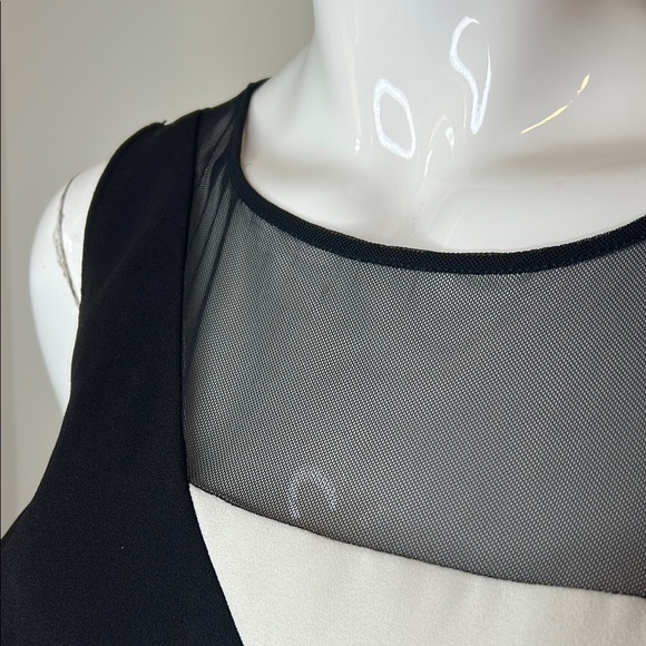 Rickie Freeman for Teri Jon Black and White Asymmetrical Sheath Dress - Picture 4 of 11